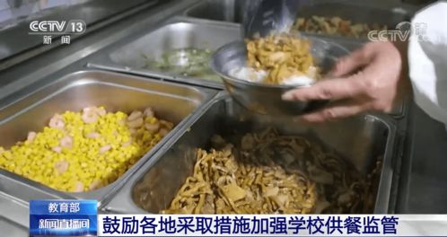 筑牢校園飲食安全網(wǎng) 教育部推動(dòng)加強(qiáng)供餐監(jiān)管，守護(hù)學(xué)生健康底線